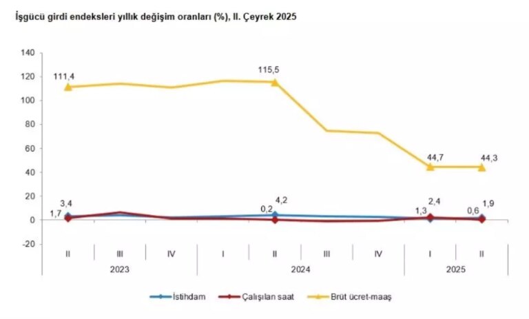 tuik-2025-2-ceyrek-is-gucu-istatistiklerini-acikladi-RJif5QYf.jpg